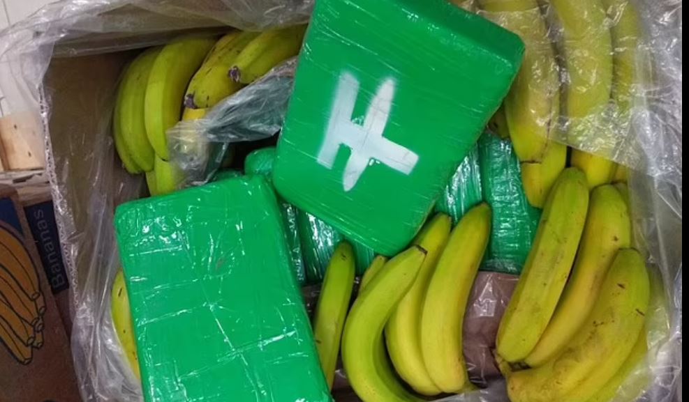 هولندا تضبط 7,7 أطنان من الكوكايين بعد تهريبها داخل شحنة موز